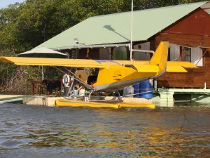 ULM Savannah Hydro - Les ailes hydro de Montsinéry